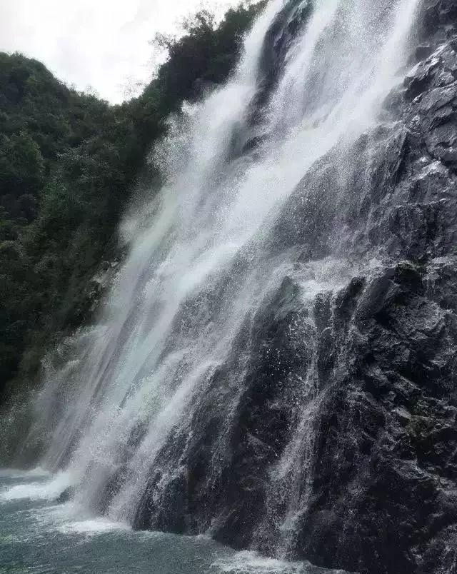 辽宁vs广东:辽篮杀上门,杜锋主场作战求复仇,周琦成最大X因素